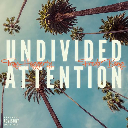 Undivided Attention — Tray Haggerty