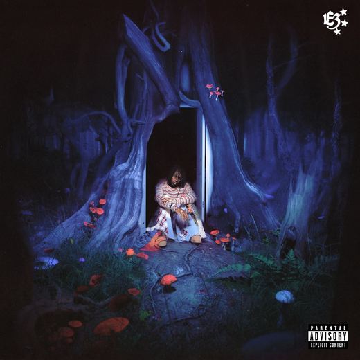 E3 — midwxst