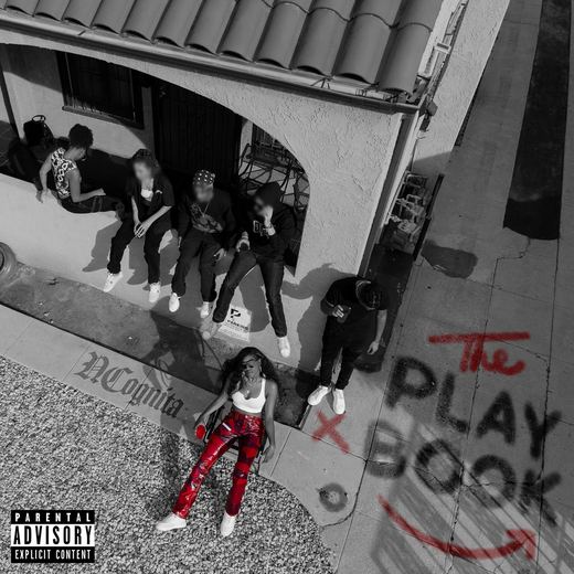 The Playbook — NCognita