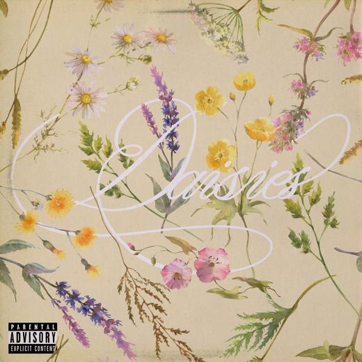 Daisies — Tiana Kocher