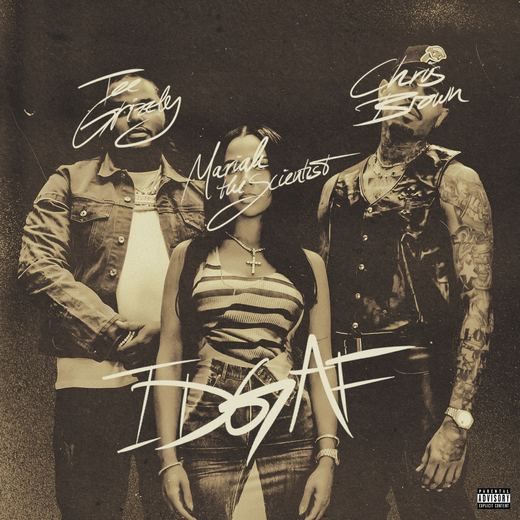 IDGAF (feat. Chris Brown and Mariah the Scientist) — Tee Grizzley