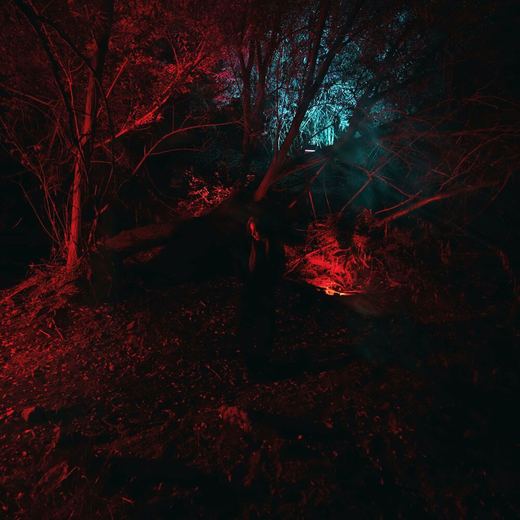 KAMELEON — Kami Kehoe
