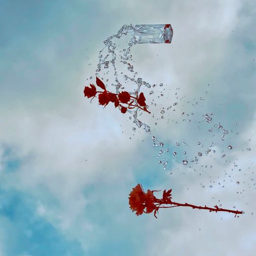 Long Way Home — Ciaran Quigley